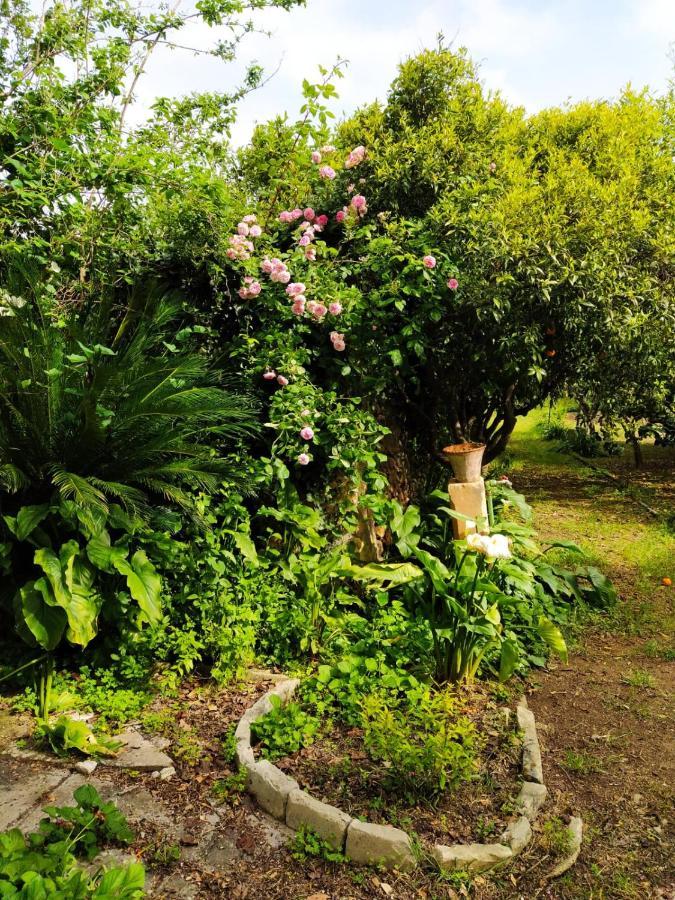 Bed and Breakfast Aricelle Speziali Specchia Gallone Exterior foto