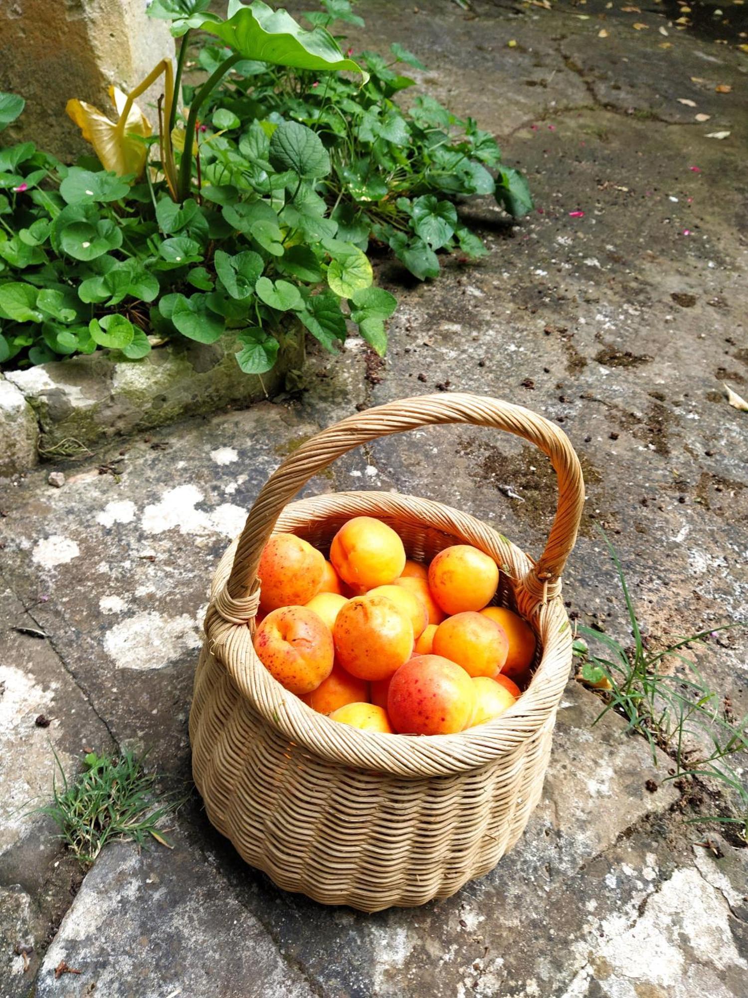 Bed and Breakfast Aricelle Speziali Specchia Gallone Exterior foto