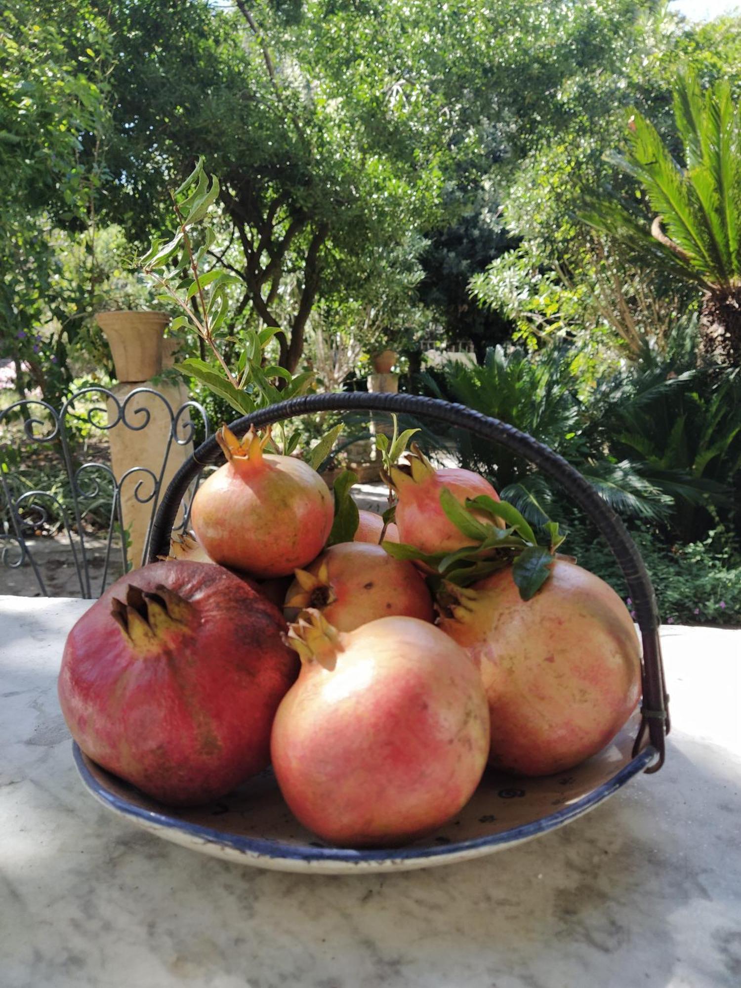 Bed and Breakfast Aricelle Speziali Specchia Gallone Exterior foto